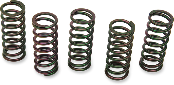 Clutch Spring Kit Black, 1, nordicamoto.ro