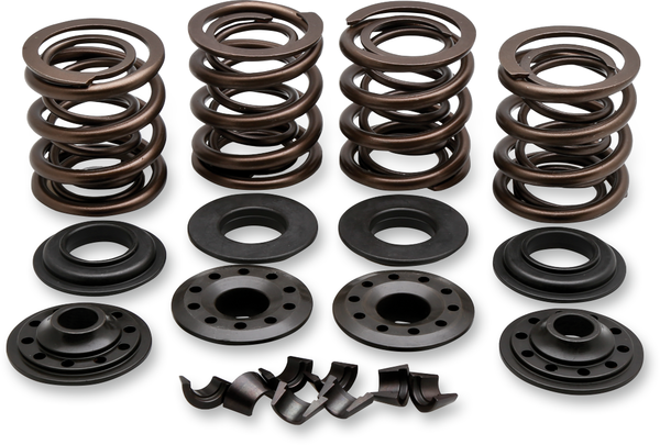 Complete Valve Spring Kit, 1, nordicamoto.ro