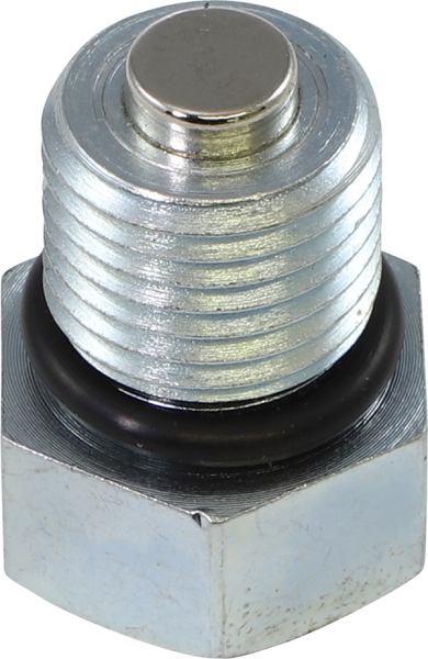 Magnetic Oil Drain Plug Gray, Silver, 1, nordicamoto.ro