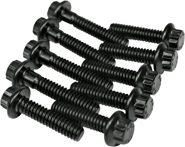 Cam Plate And Oil Pump Fastener Kit Black, 1, nordicamoto.ro