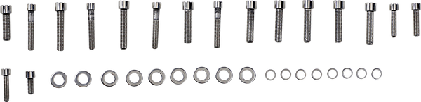 Bolt Kit Trn Sdcvr Fx 06 Polished, Stainless Steel, 1, nordicamoto.ro