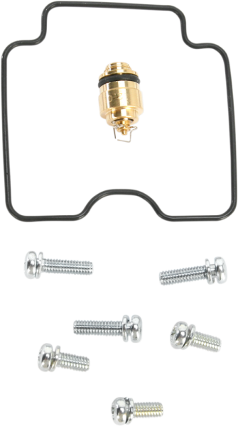 Economy Carburetor Repair Kit, 1, nordicamoto.ro