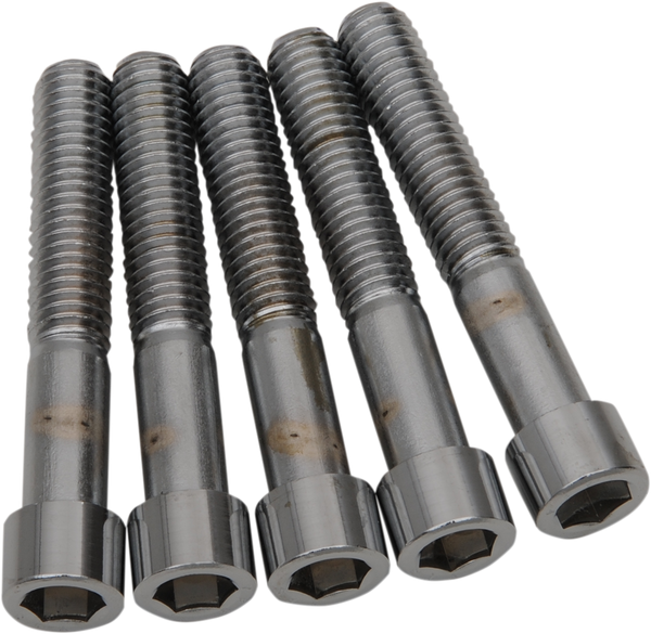 Replacement Socket Head Bolts Silver, 2, nordicamoto.ro