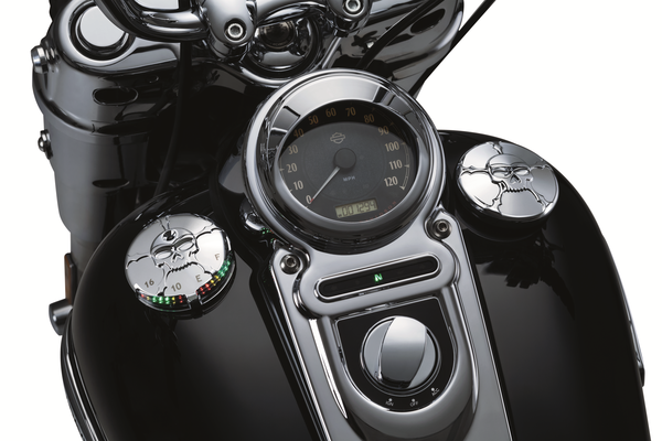 Zombie Led Fuel And Battery Gauge Chrome, 2, nordicamoto.ro