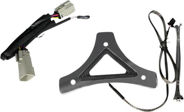 Dual Intensity Run & Brake Backrest Led Light Red, 1, nordicamoto.ro