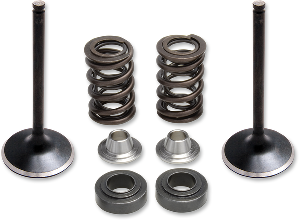 Valve Spring Kit, 1, nordicamoto.ro