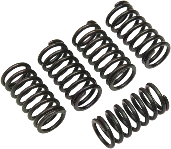 Clutch Spring Kit Black, 1, nordicamoto.ro