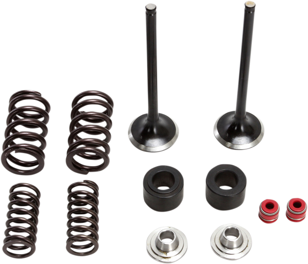 Stainless Exhaust Valve And Spring Kit, 1, nordicamoto.ro