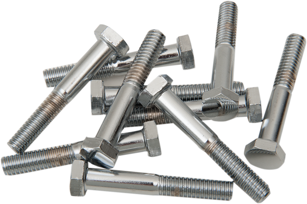 Replacement Hex-head Bolts Silver, 2, nordicamoto.ro