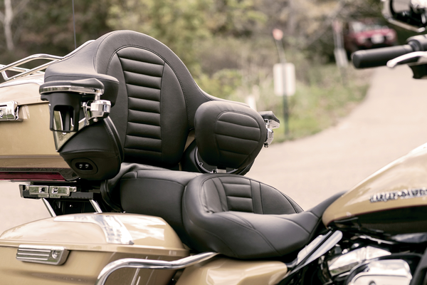 Removable Driver Backrest Black, 1, nordicamoto.ro