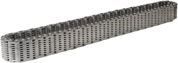 Transaxle Rear Drive Chain, 1, nordicamoto.ro