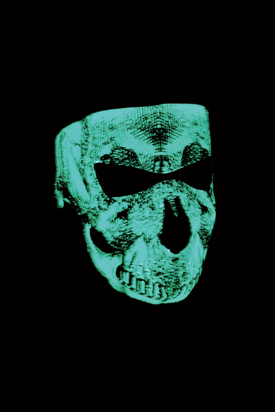 Face Mask Skull Face Glow Gray, 1, nordicamoto.ro