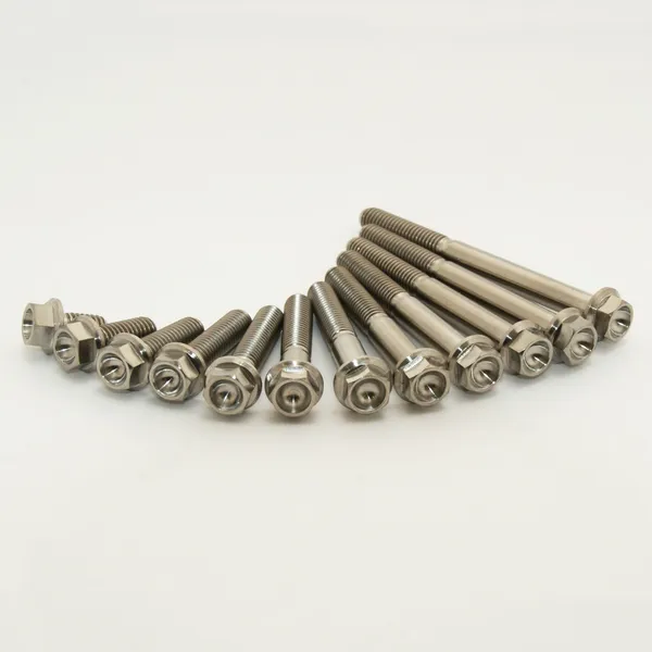 Titanium Screws Unfinished, 1, nordicamoto.ro