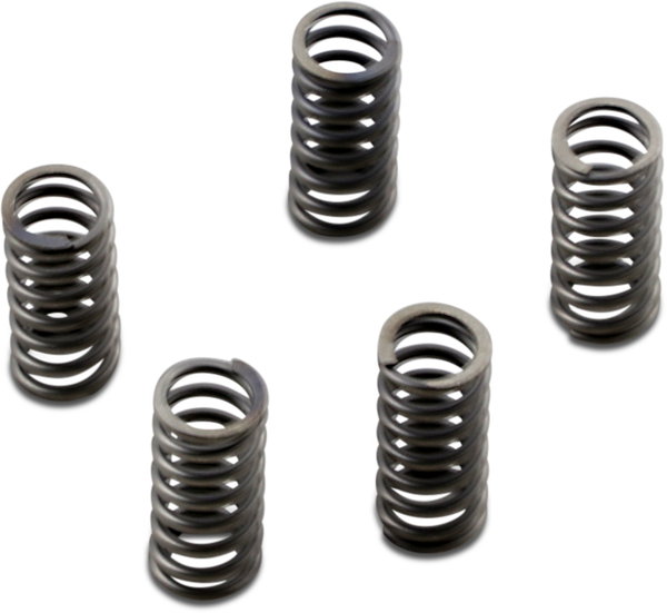 Clutch Spring Kit Coil Spring Csk Series Steel, 2, nordicamoto.ro