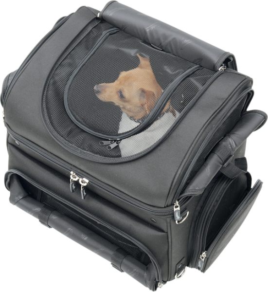 Pet Voyager Black, 3, nordicamoto.ro