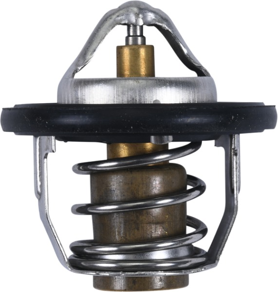 Thermostat Silver, 1, nordicamoto.ro