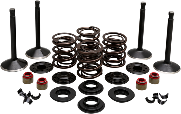 Engine Kit, 1, nordicamoto.ro