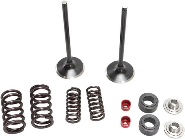 Stainless Intake Valve And Spring Kit, 1, nordicamoto.ro