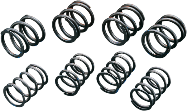 High-lift Valve Springs, 1, nordicamoto.ro