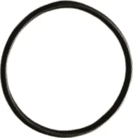 BENDIXSPRING, 1, nordicamoto.ro