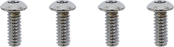 Switch Housing Screw Kit Silver, 2, nordicamoto.ro