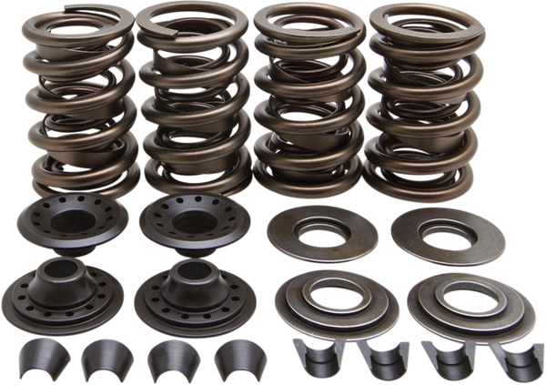 Valve Spring Kit, 1, nordicamoto.ro