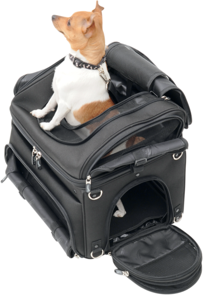 Pet Voyager Black, 5, nordicamoto.ro