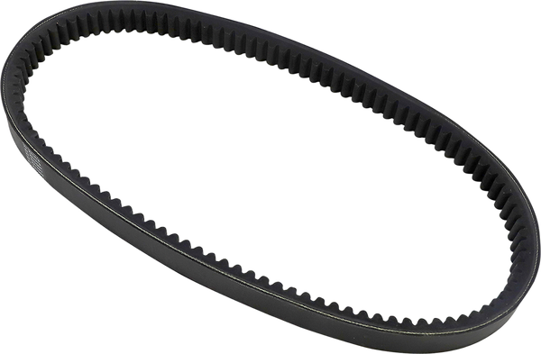 Belt Drive Dayco 2025 Black, 2, nordicamoto.ro