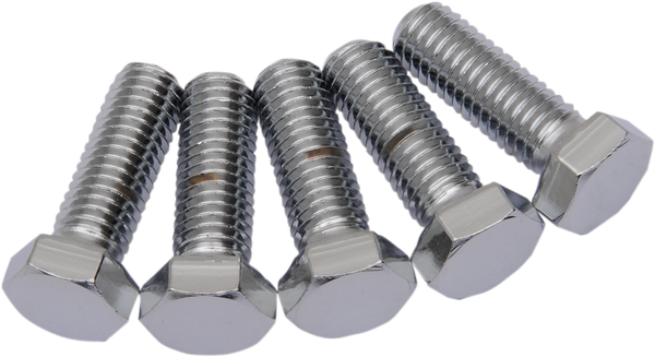 Replacement Hex-head Bolts Silver, 2, nordicamoto.ro