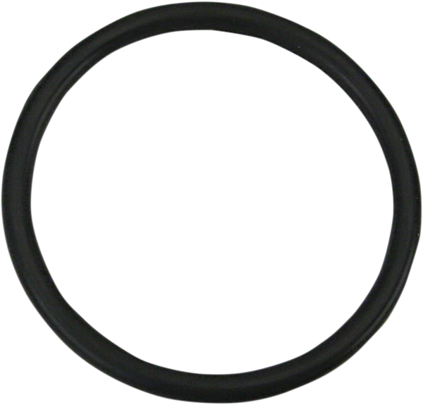 O-ring, 1, nordicamoto.ro