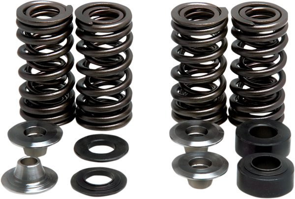 Valve Spring Kit, 1, nordicamoto.ro