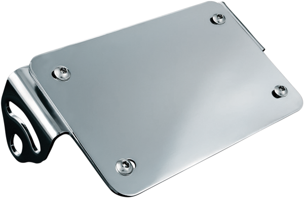 License Plate Turn Signal And Marker Light Mounts Chrome, 1, nordicamoto.ro