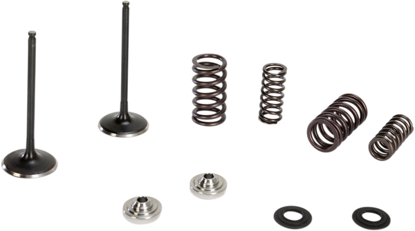 Stainless Steel Conversion Valve And Spring Kit, 1, nordicamoto.ro