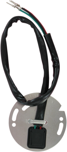 Ignition Sensor Assembly Black, Gray, 1, nordicamoto.ro