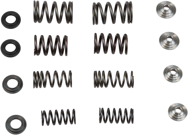 Valve Spring Kit, 1, nordicamoto.ro