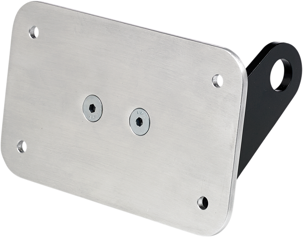 Axle Mount License Plate Bracket, 1, nordicamoto.ro