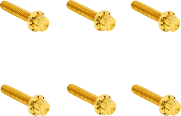 Transmission Side Cover Titanium 12-Point Bolt Kit Gold, 1, nordicamoto.ro
