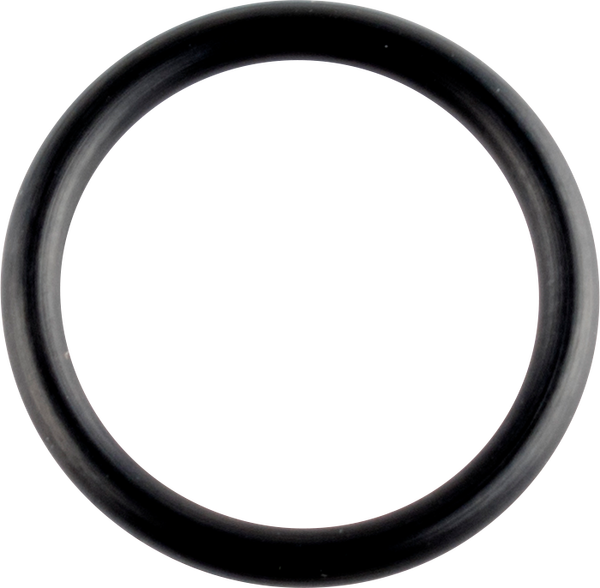 Crankcase O-ring, 1, nordicamoto.ro