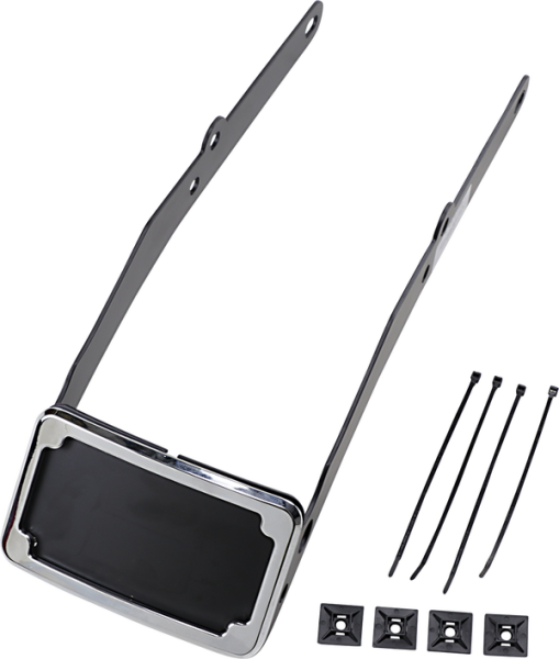 Curved License Plate Frame And Mount With License Plate Light Chrome, 2, nordicamoto.ro