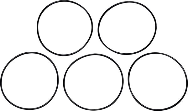 Oil Pump Cover O-ring, 1, nordicamoto.ro