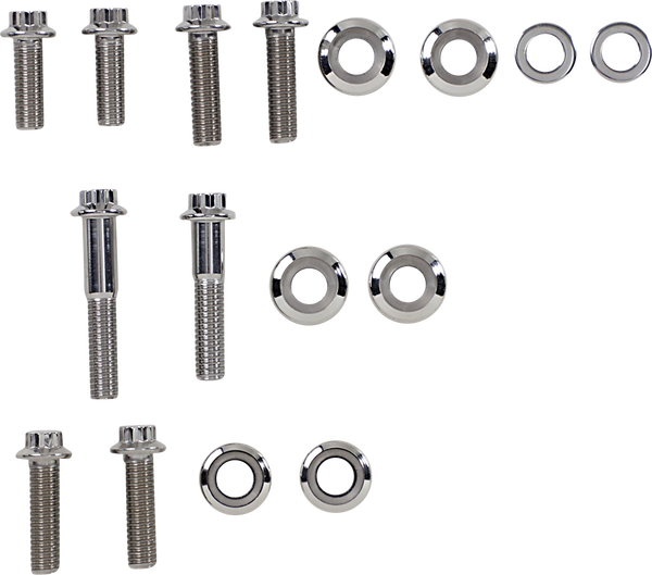 Bolt Kit Mtr Mnt Fl 08-16 Polished, Stainless Steel, 3, nordicamoto.ro