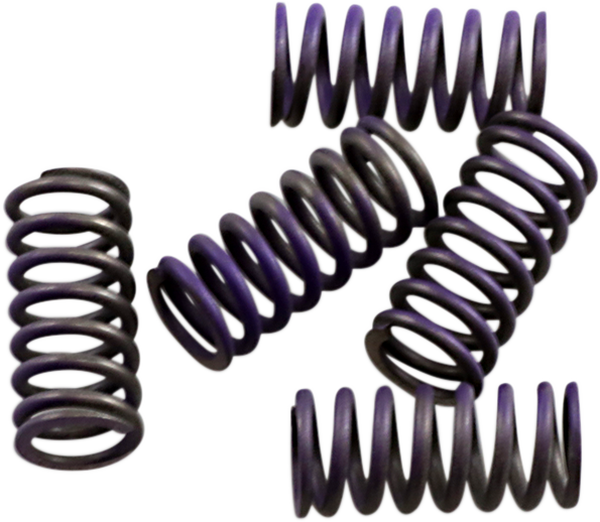 Hi-temp Clutch Spring Kit Steel, 1, nordicamoto.ro