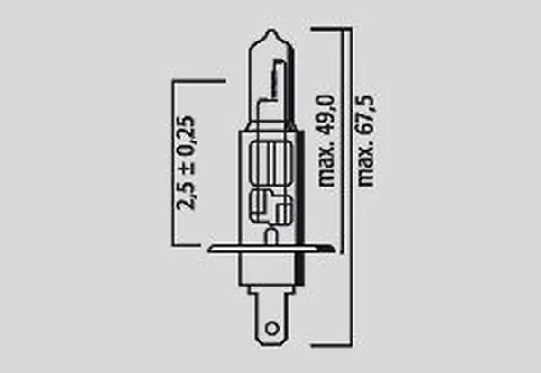 Halogen Headlight Bulbs, 2, nordicamoto.ro