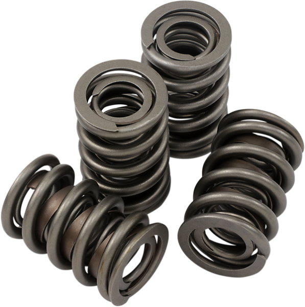 Valve Spring Set 0, 1, nordicamoto.ro