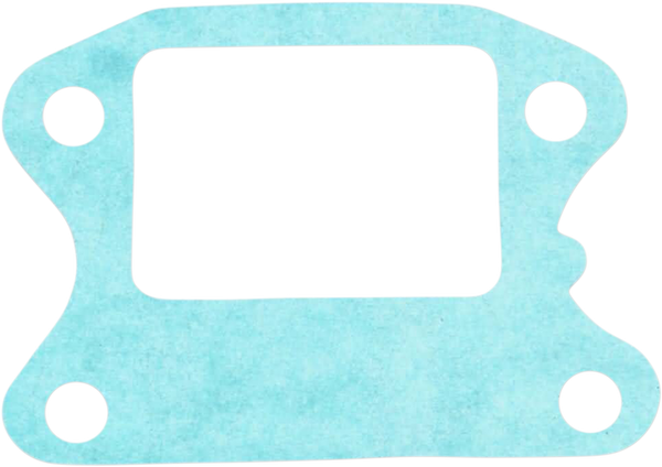 Intake Manifolds, 1, nordicamoto.ro