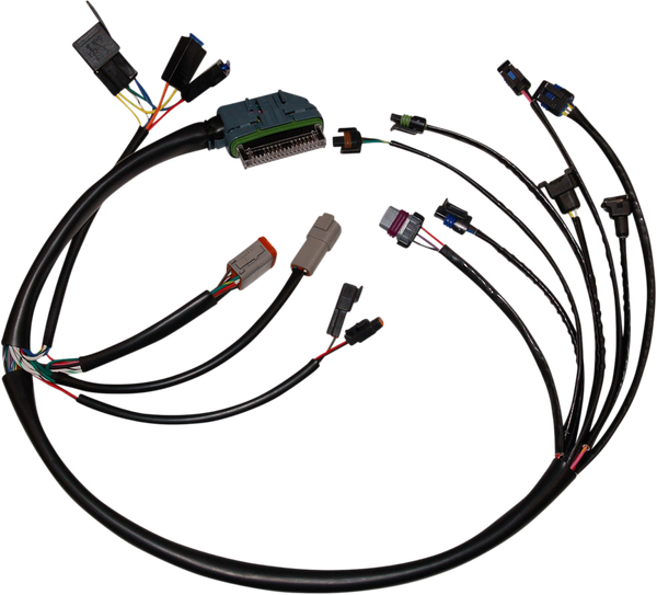 Complete Efi Wiring Harness Black, 1, nordicamoto.ro