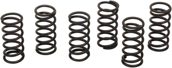 Clutch Spring Kit Black, 1, nordicamoto.ro