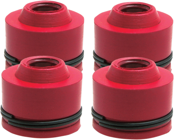 Valve Guide Seals, 1, nordicamoto.ro