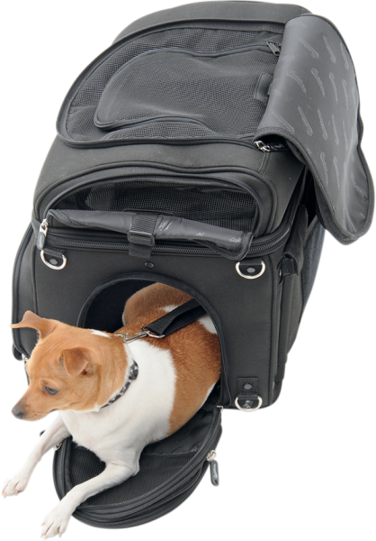 Pet Voyager Black, 1, nordicamoto.ro