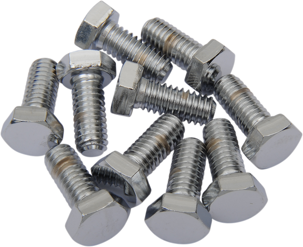 Replacement Hex-head Bolts Silver, 2, nordicamoto.ro